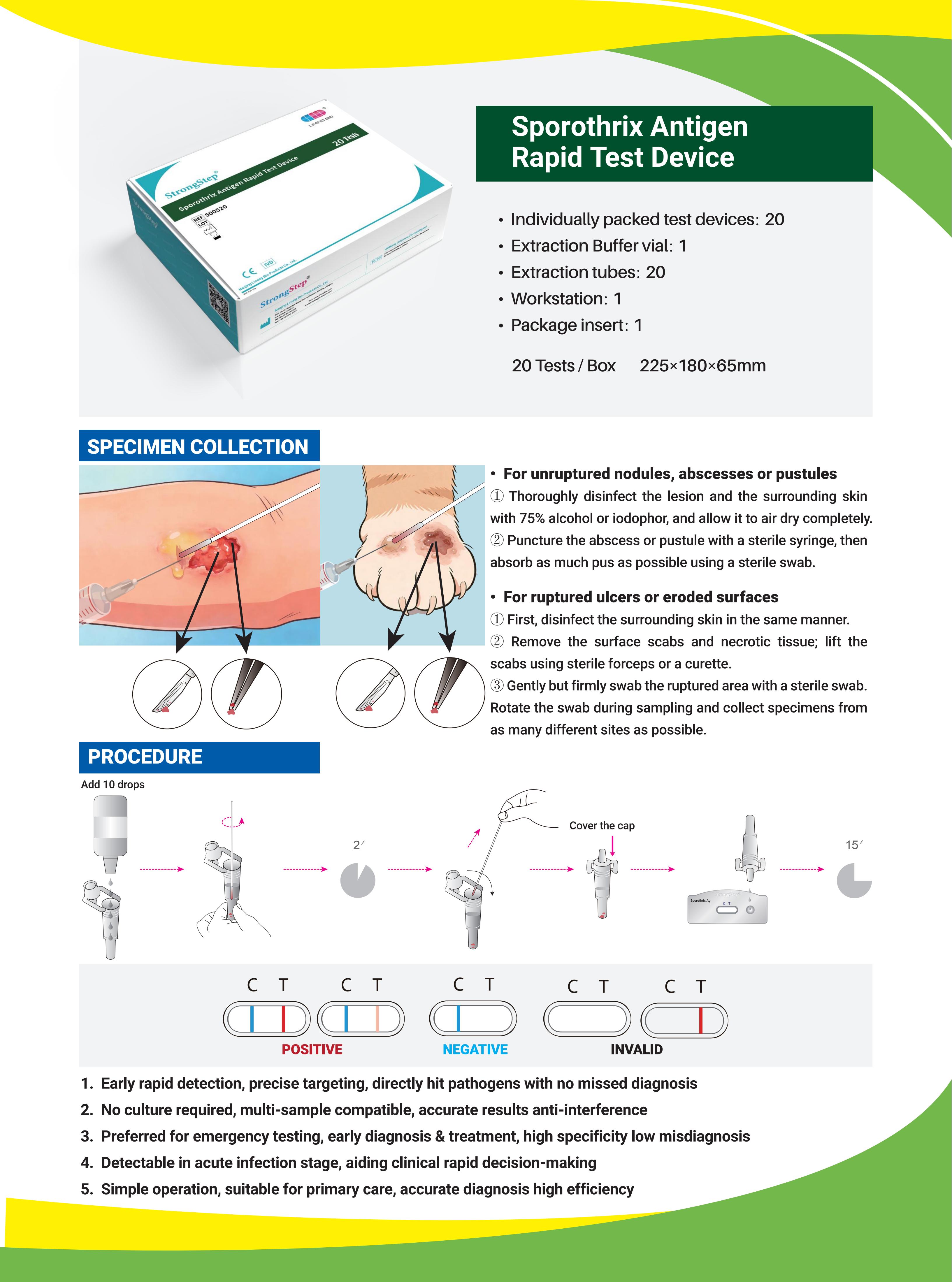 （已压缩）Sporothrix (孢子丝菌) 英文版宣传彩页_02